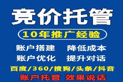 谷歌竞价案例：成功案例分析及启示